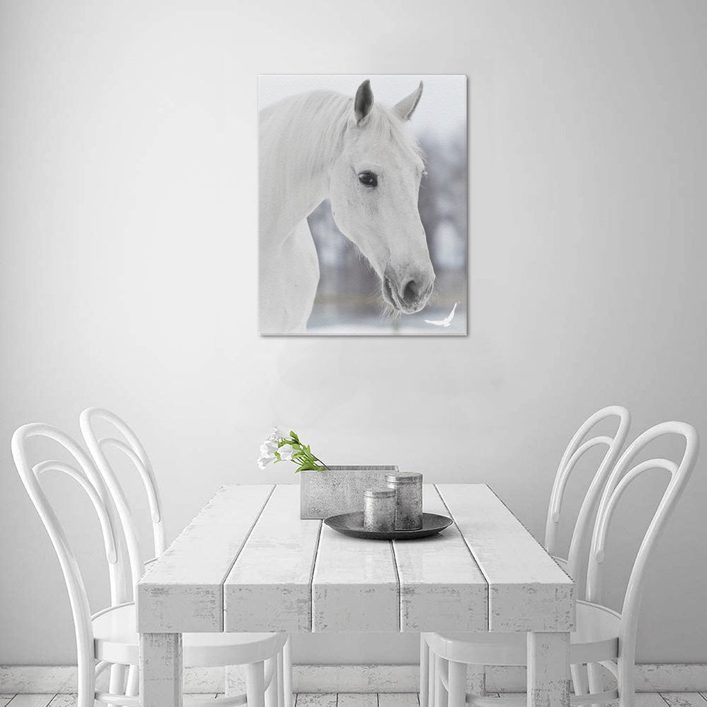 Canvas Print 16" x 20"