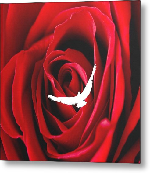 Love - Metal Print