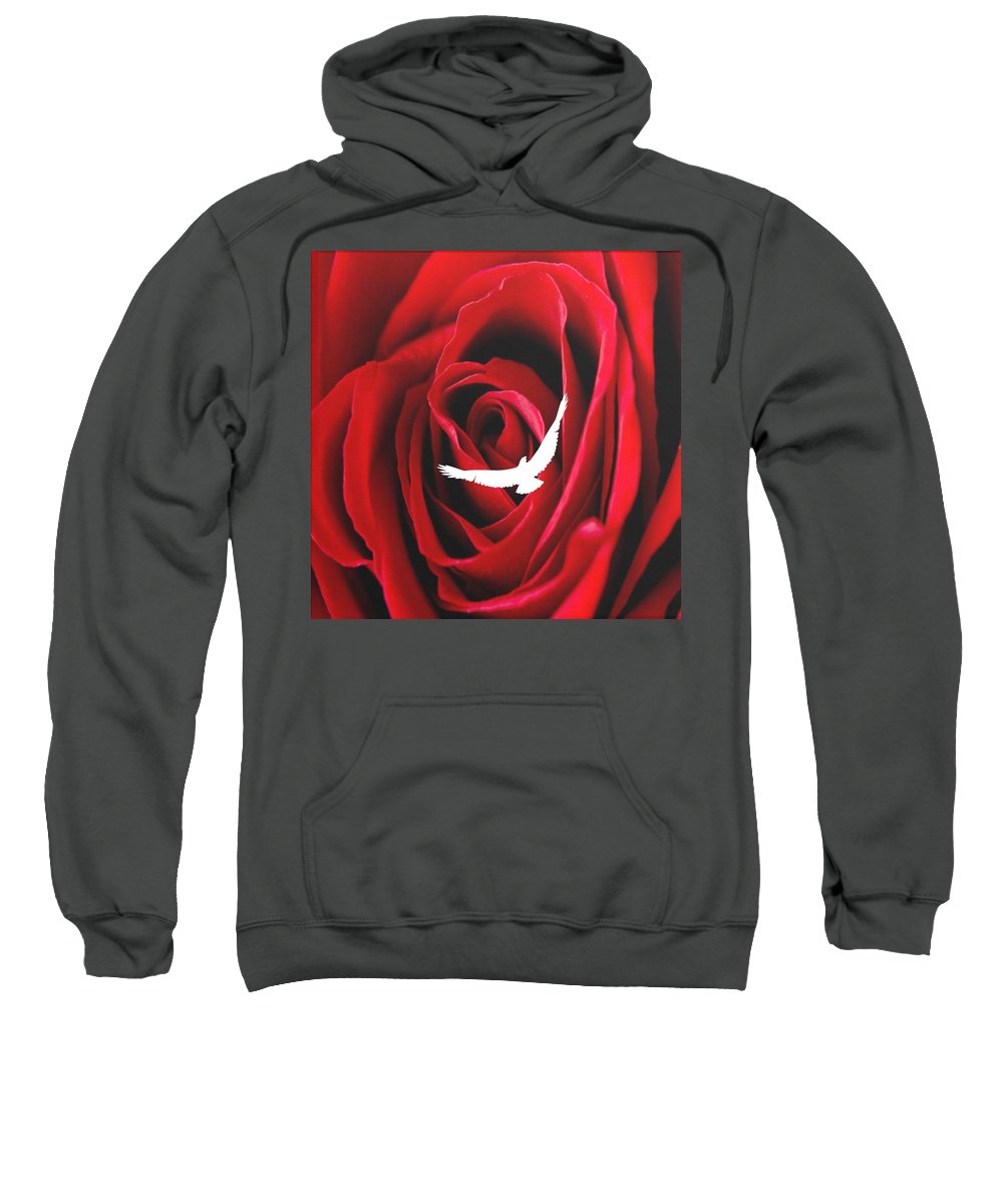Love - Sweatshirt