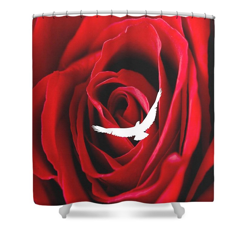 Love - Shower Curtain