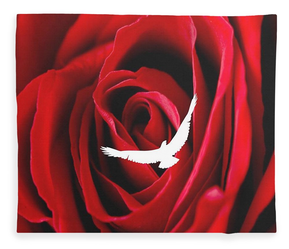Love - Blanket