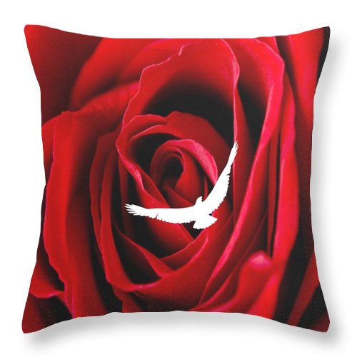 Love - Throw Pillow