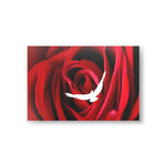 Postcards (10pcs)