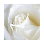 Purity
