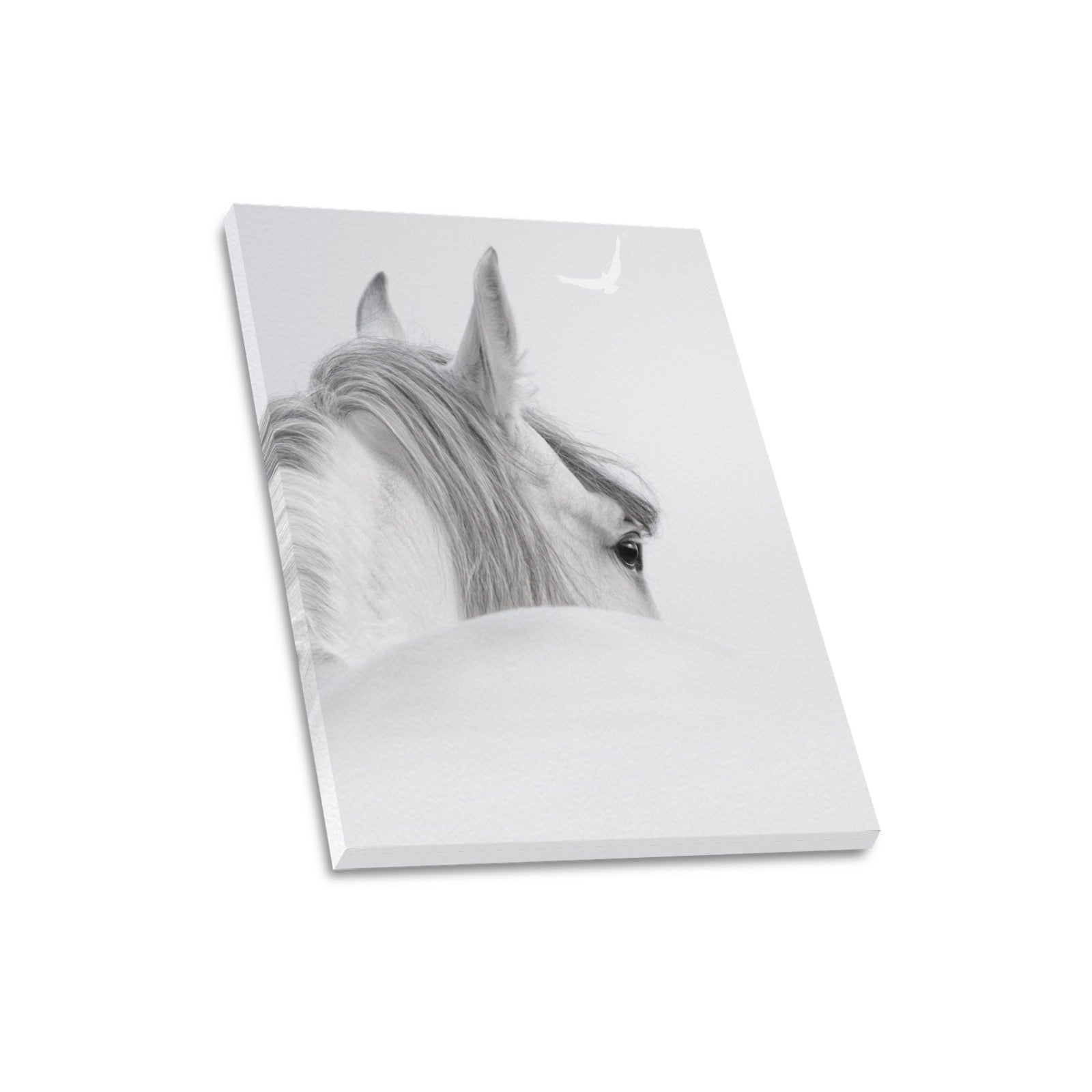 Canvas Print 16" x 20"