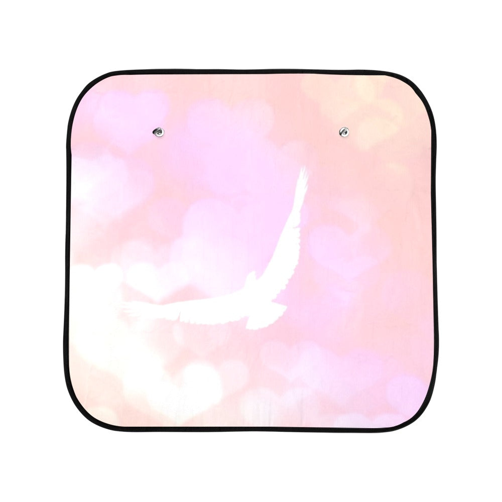car shade