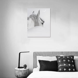 Canvas Print 16" x 20"