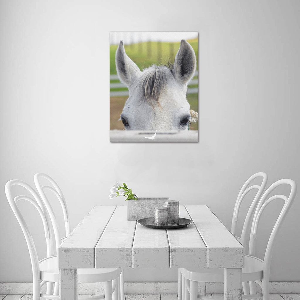 Canvas Print 16" x 20"