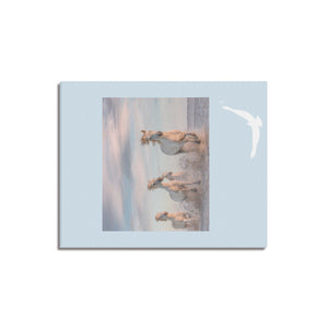 ... Canvas Print 16" x 20"