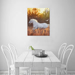 Canvas Print 16" x 20"