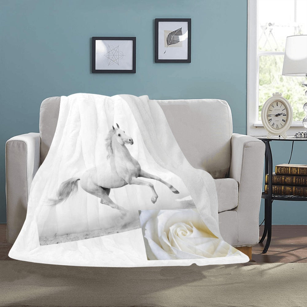 blanket white horse