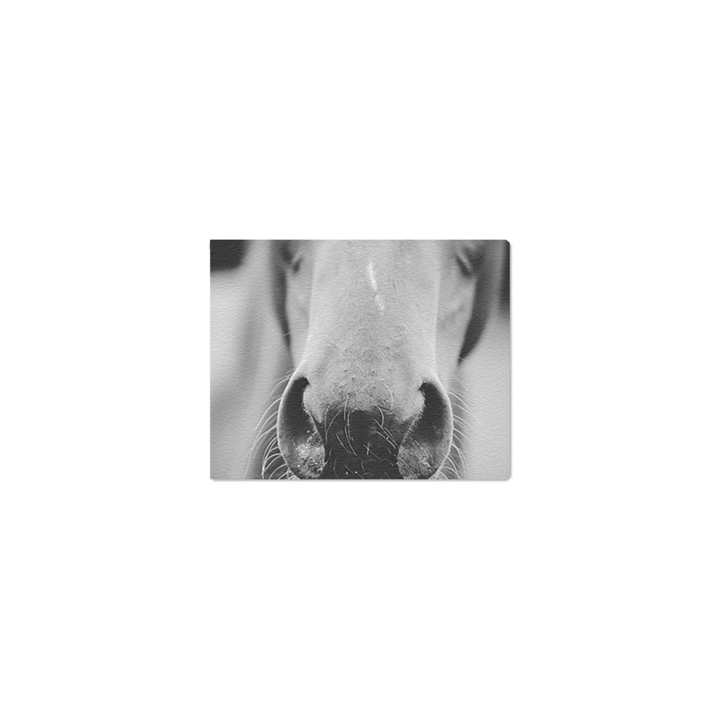 horse's love