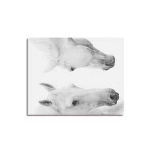 Canvas Print 16" x 20"