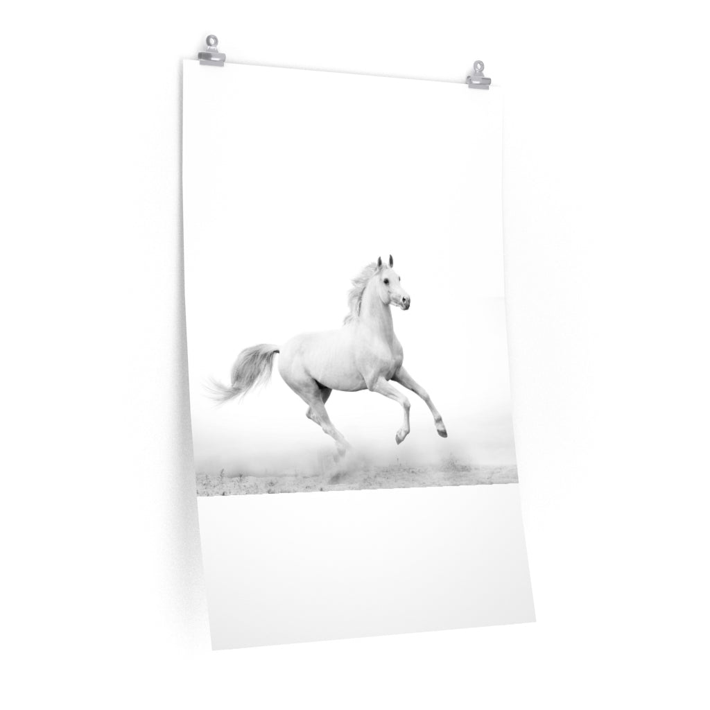 Premium Matte vertical posters