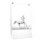 Premium Matte vertical posters