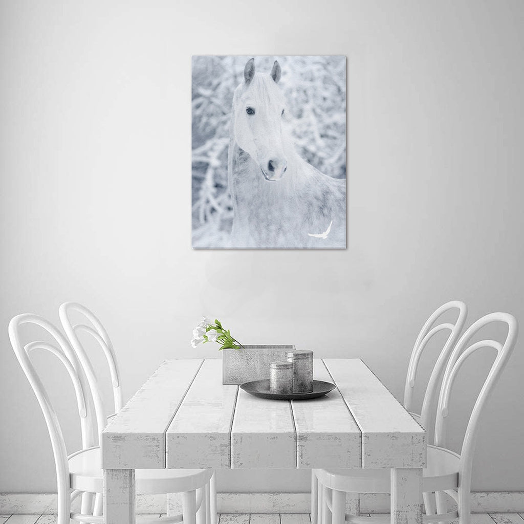 Canvas Print 16" x 20"