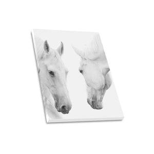 Canvas Print 16" x 20"
