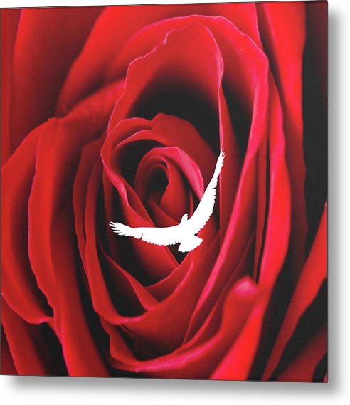 Fly higher - Metal Print